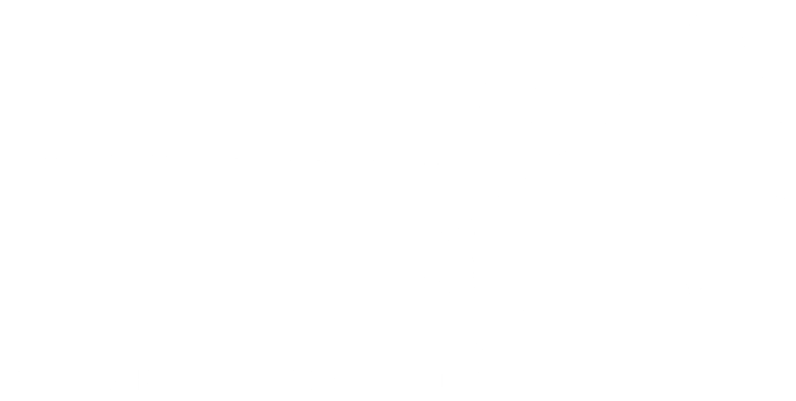 Signature logo